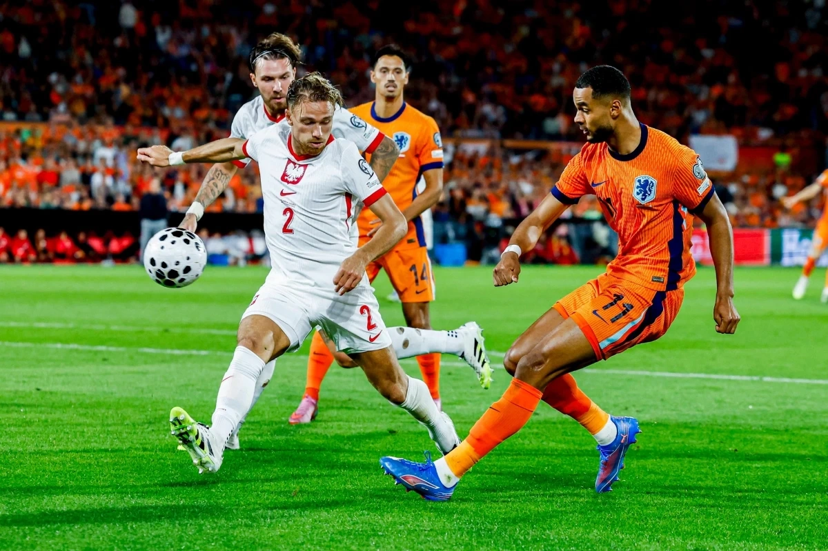 d46f5584-7b82-46f5-82c7-7bc0a6d43e73