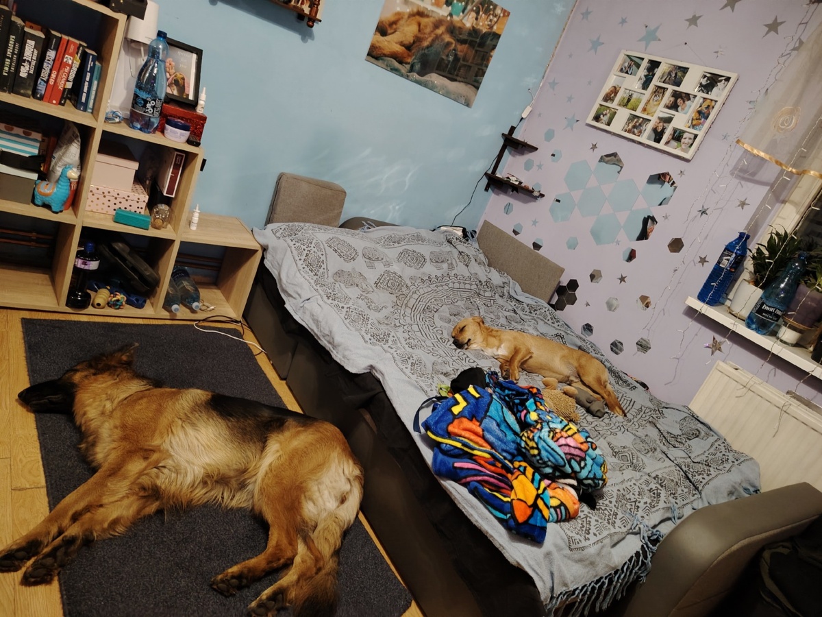 470c9315-0b83-4e2b-9698-5fa549b7317f