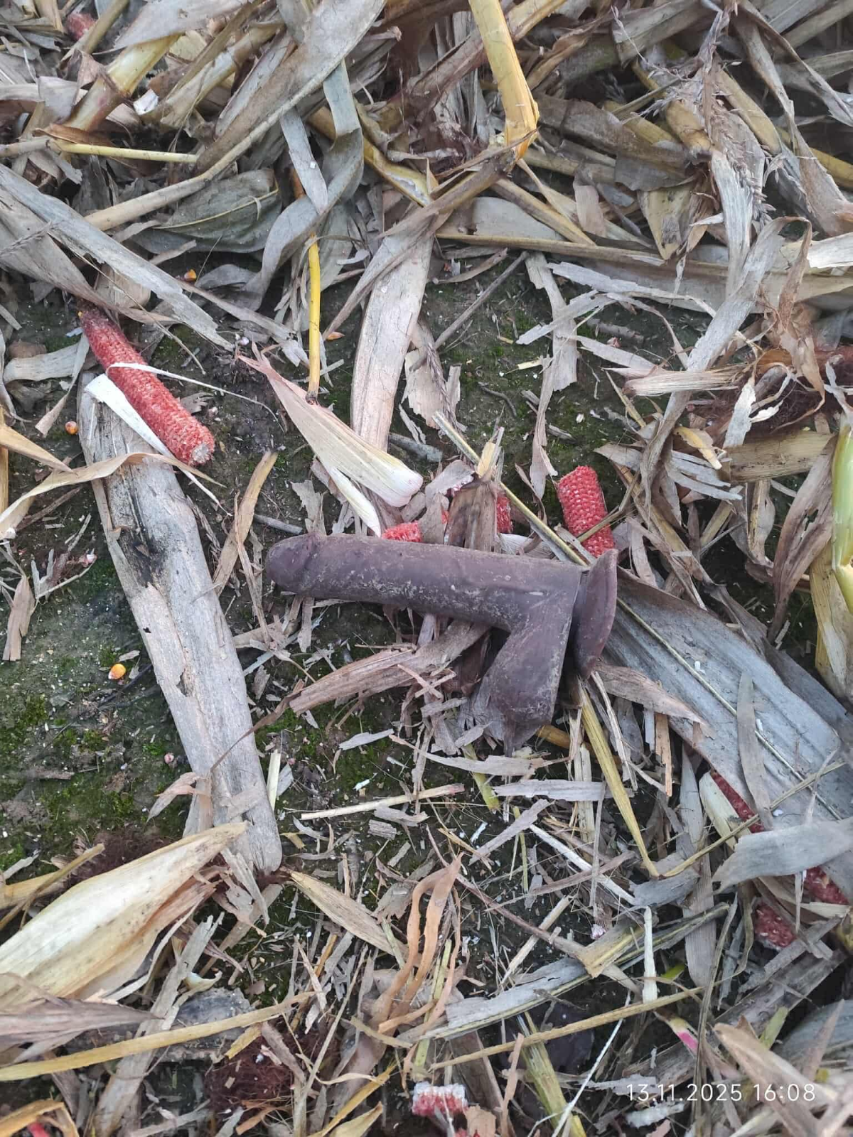 78013ccc-6eca-40f9-b945-4f40c593c593