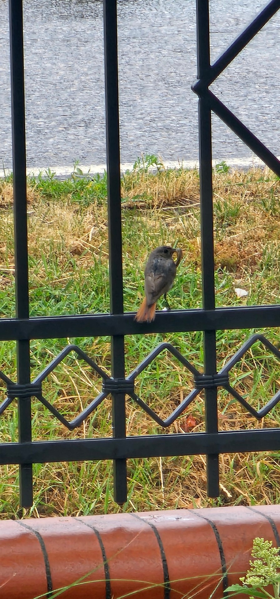 2ff4355c-3a1f-4582-8b60-1dc54a36b012