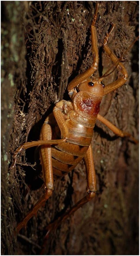 412c6162-3ac0-45be-8091-3df04f7dbbdd