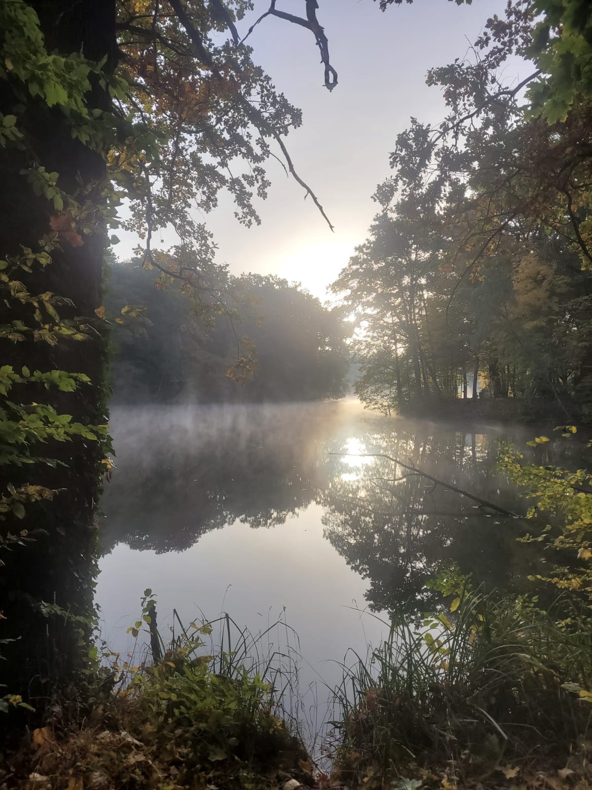 5bff4ec5-f1e3-4f9a-bba4-10b4f8415661