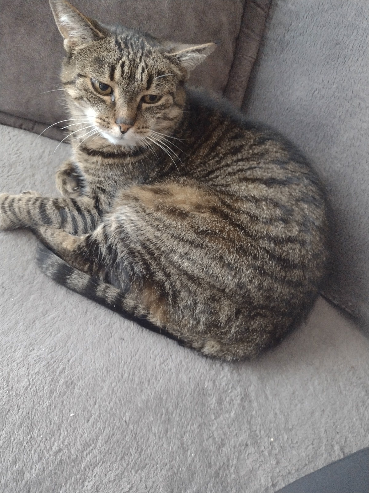 ca59b39f-ad89-4052-8438-990568c43700