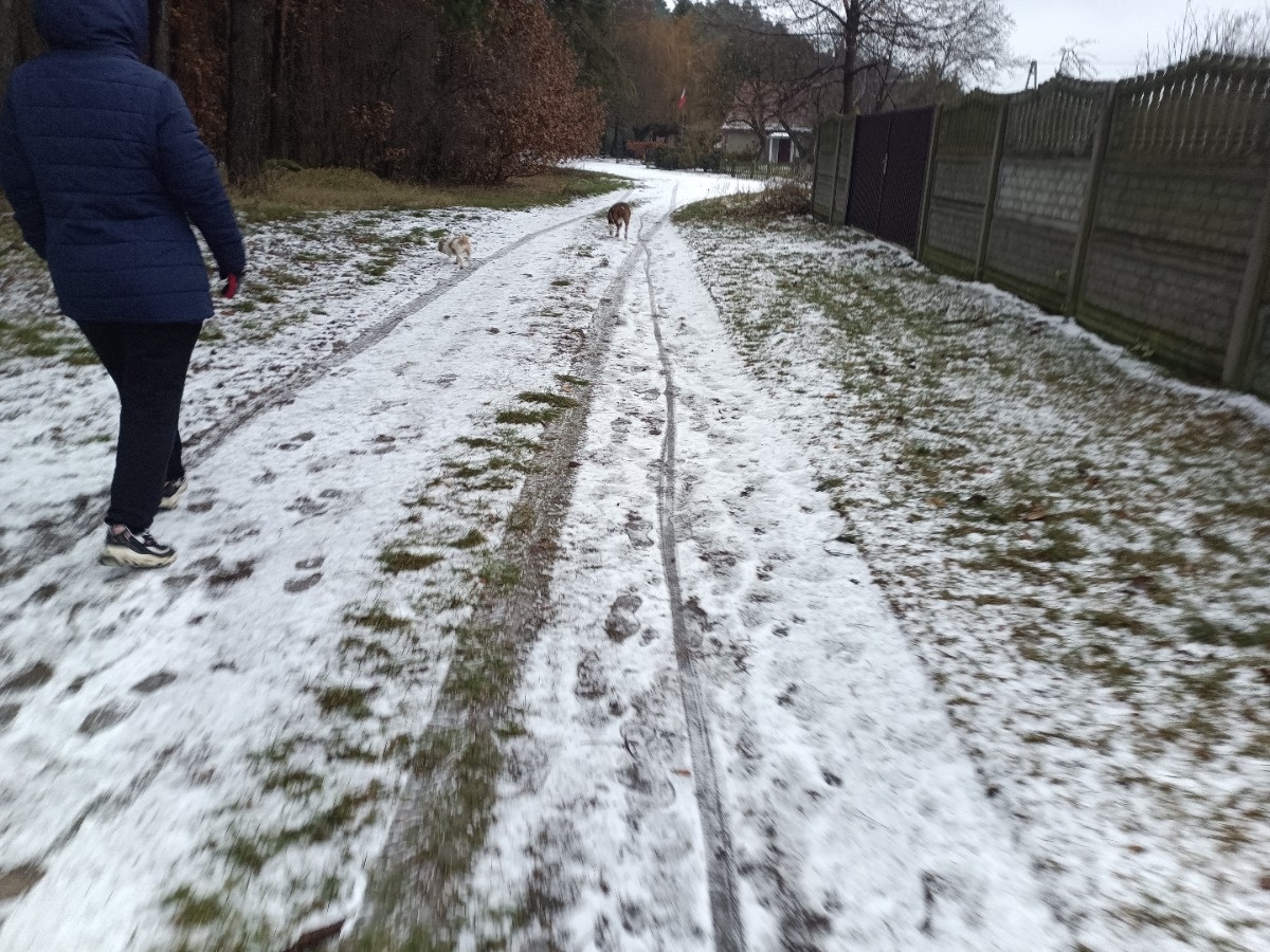 b26d4691-a3f8-438d-bf28-4b4a6983d899