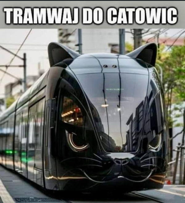 b481c58d-eaa8-4cd6-bd00-b77c93b23356