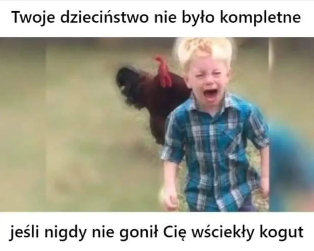 9434a2ee-7d51-449a-a218-b5a4d73a1d60