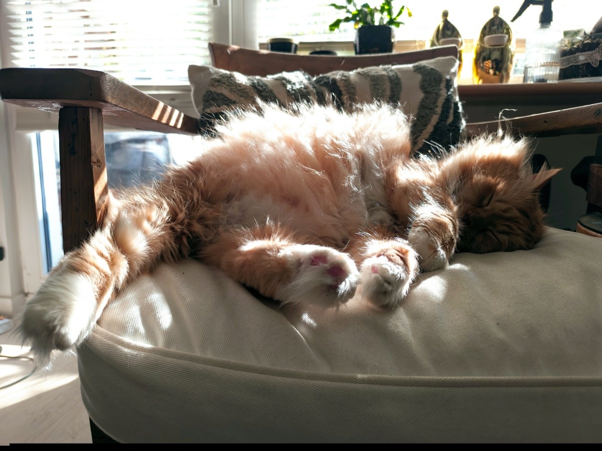 aeed2bb3-f1ba-4b25-939b-9b8dfb9b01f4