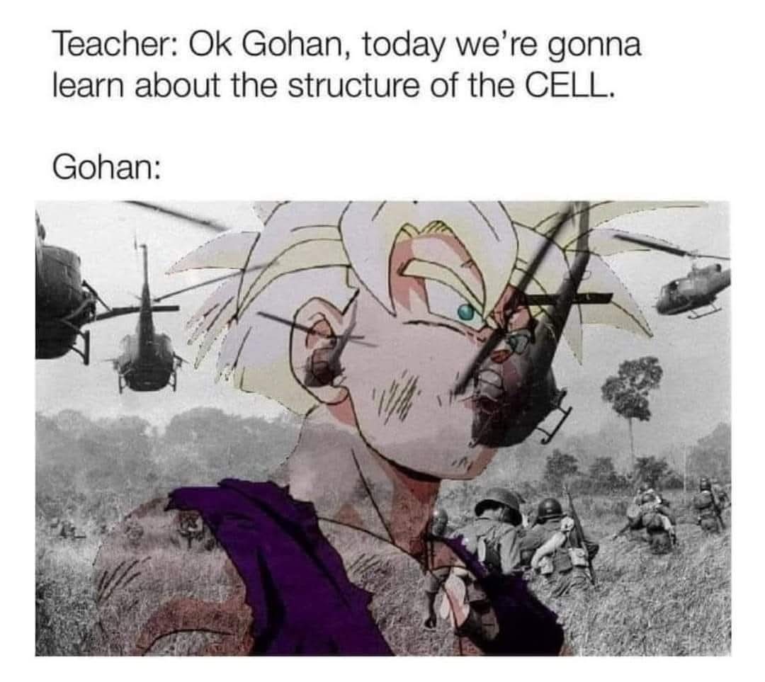 dc334136-6353-408a-b3be-6a309997f996