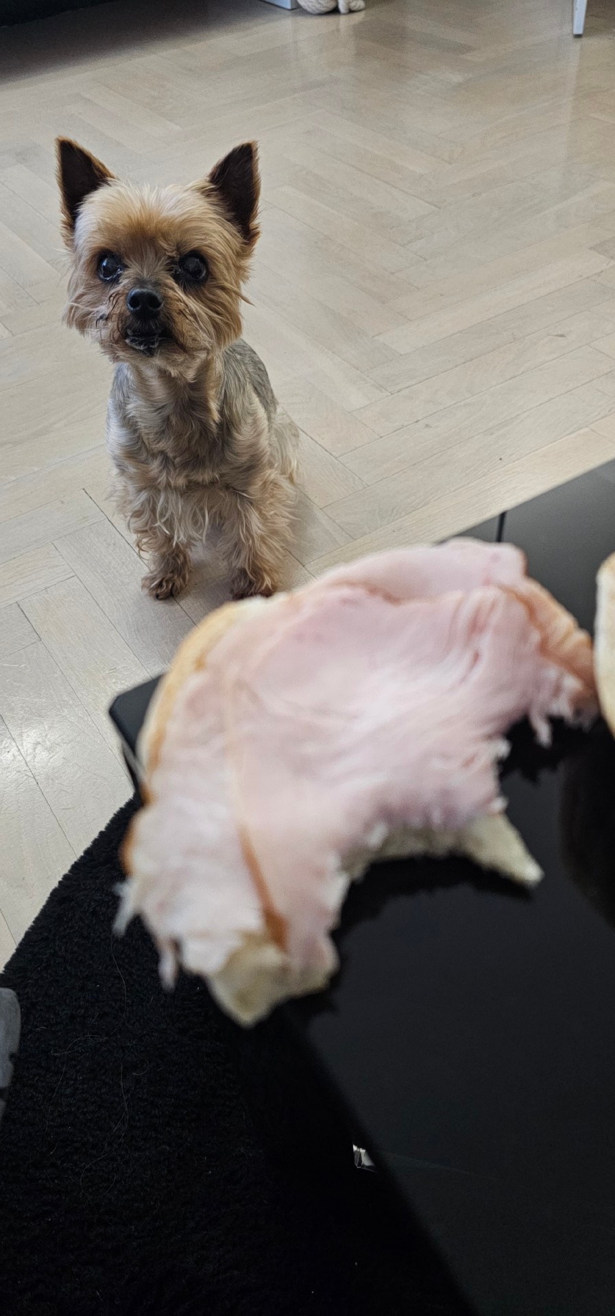 e4c145e6-8153-42c5-ac08-2c4b4be39651