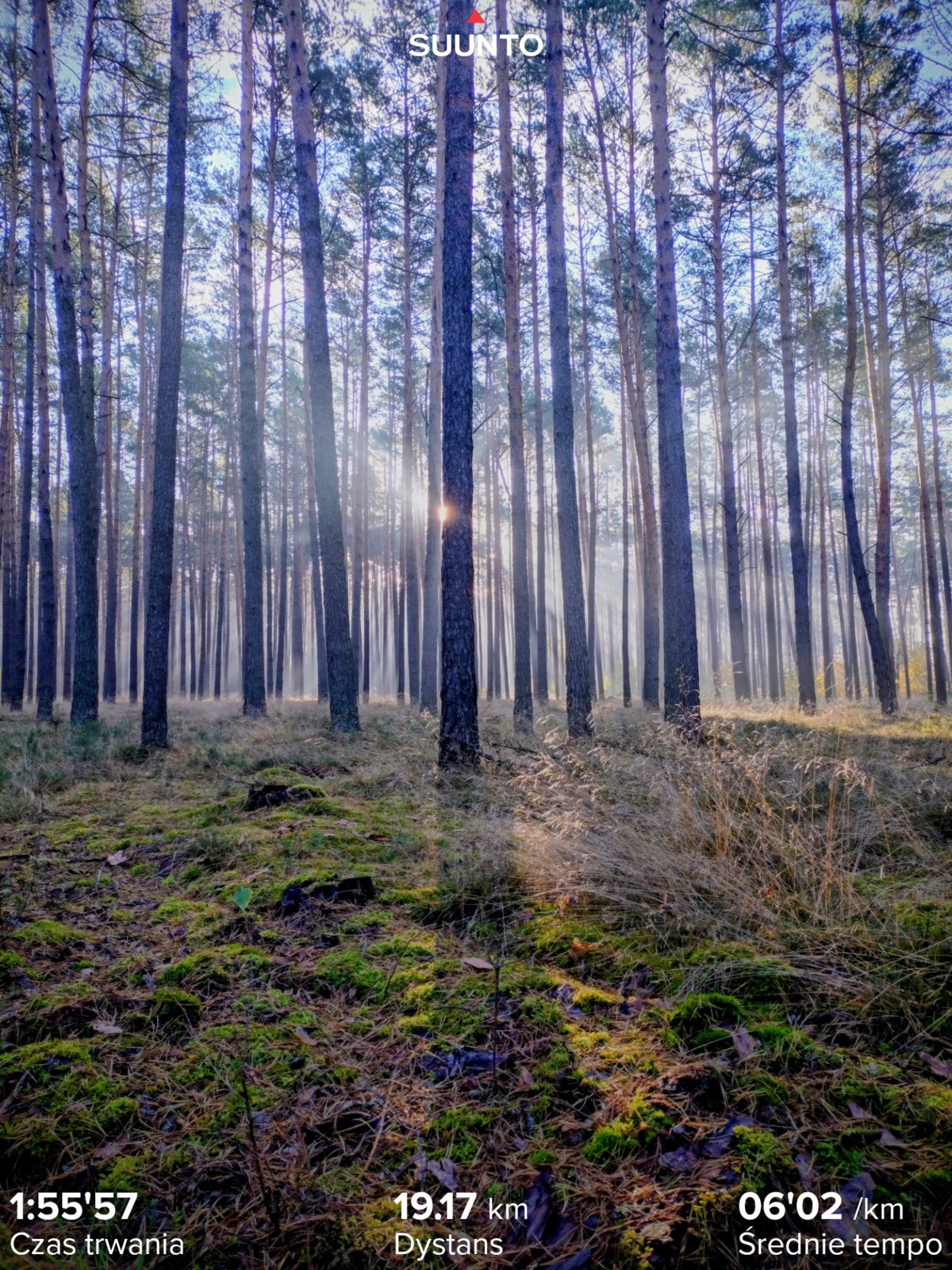 1de6deeb-b3d5-4a8b-9644-5f6d53e9a568