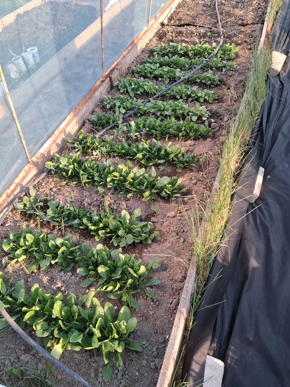 7f56b1c6-288d-4ccf-a949-9d31eb7e68ef