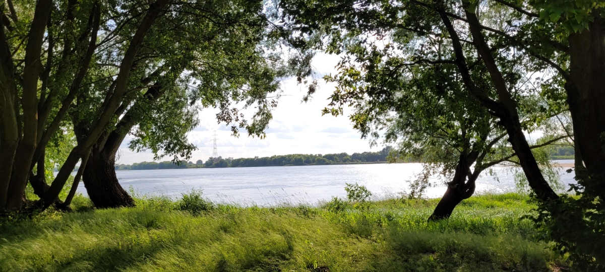 7fe0751a-43c2-43da-96fd-64f761b8a1ee