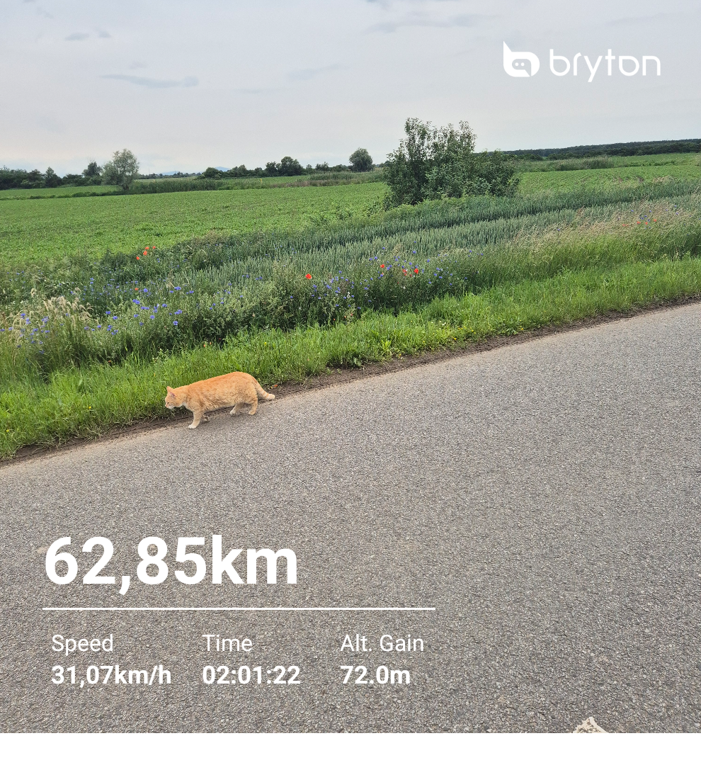 756ec1b7-41ac-4b67-acc1-4cb61dbb65bc