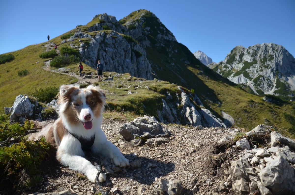 eec279be-c16c-4716-b3e2-82777f0d1a12