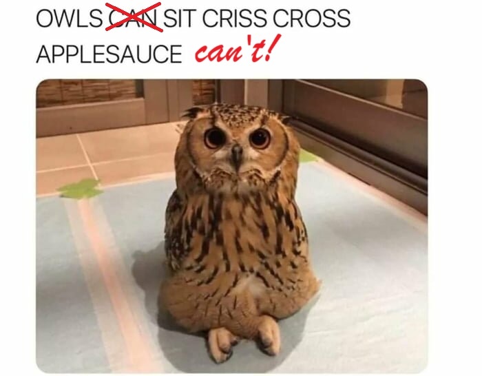 2dbd23b8-e968-4d15-9fa5-c9ed7c347c75