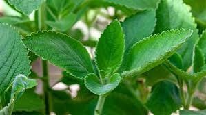 64b5a121-ef8f-402d-b18d-5b7ed6da01f1