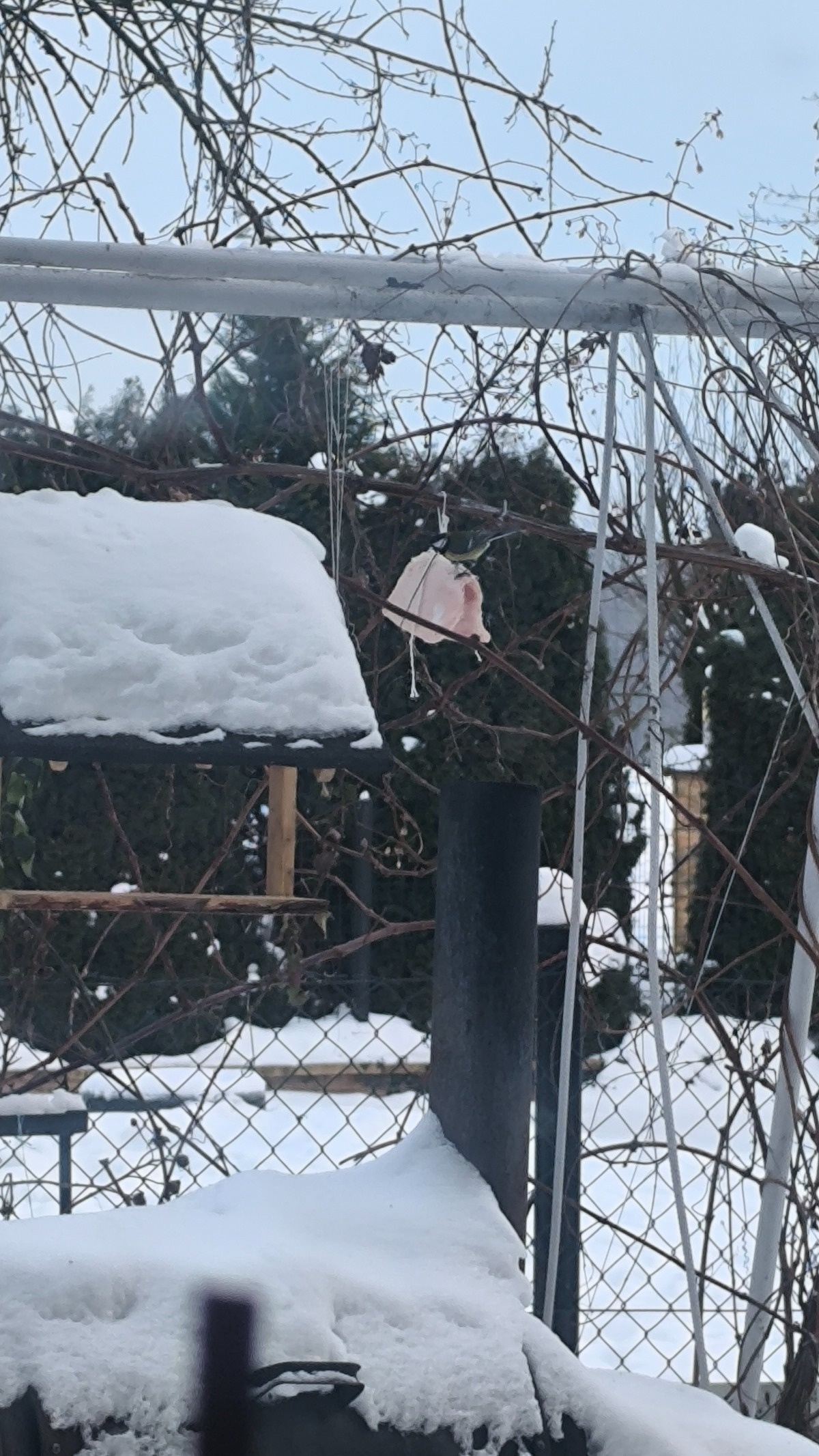 5f66a4f2-be52-4c44-8c9b-1624b1ad9b37