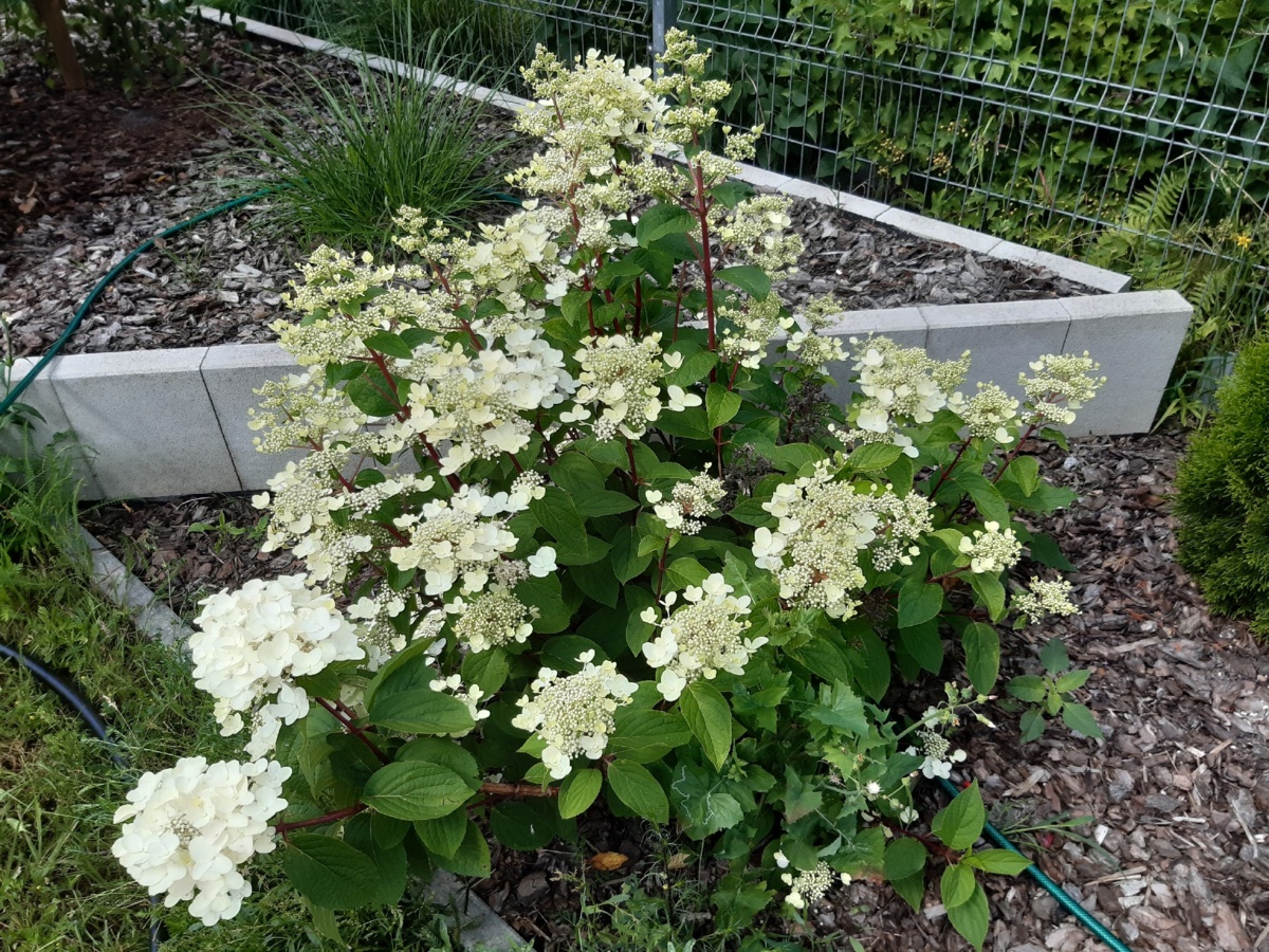 70ef526a-60e3-49c5-adb4-95224f61bc46