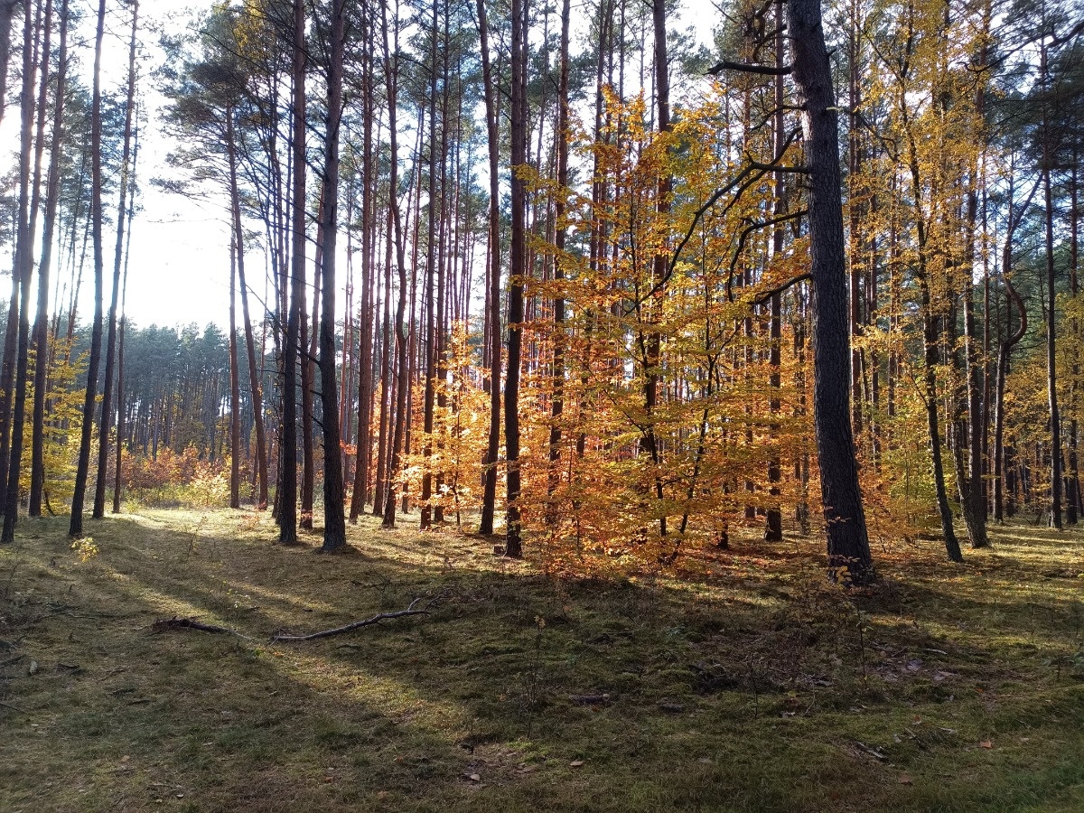 f1905988-55e7-483a-926b-cd817b8eee15