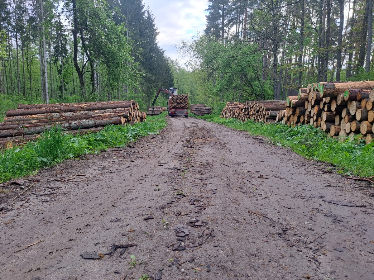 cf8f73c3-eeb3-4058-abf6-549e751820a7