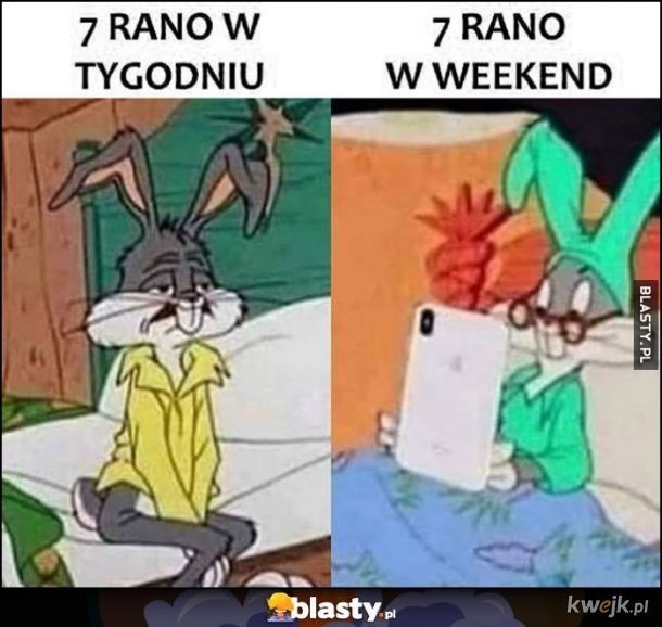 ef582cae-92db-4024-95b2-785df35352e5