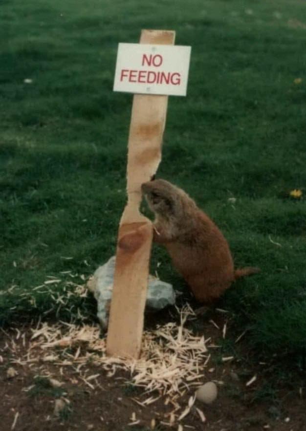 fb929a4f-0c8f-481e-b08a-81801c67f7de