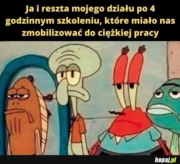 fe175a22-be8f-462f-9421-ae28a3cb683d