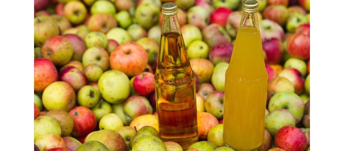 Polskie zagęszczone soki zdobywają nowe rynki światowe - Echo Polski • portal informacyjny, wiadomości, newsy, porady