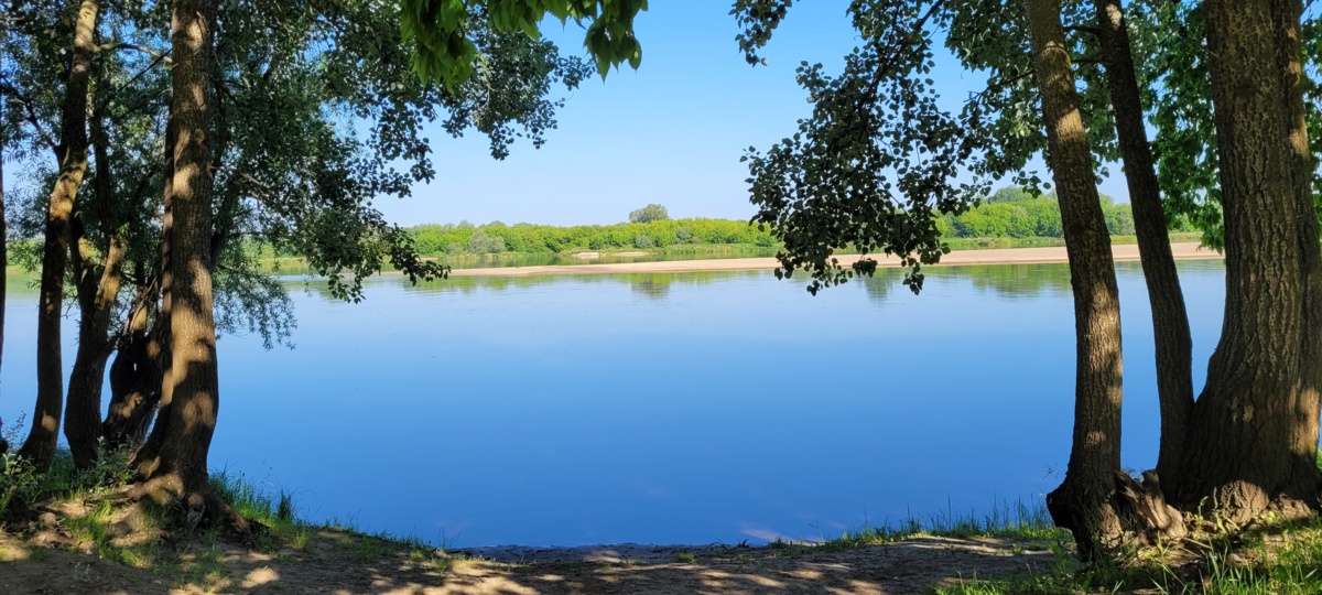 6f645a1f-67e2-4400-9953-e889f5f51c52