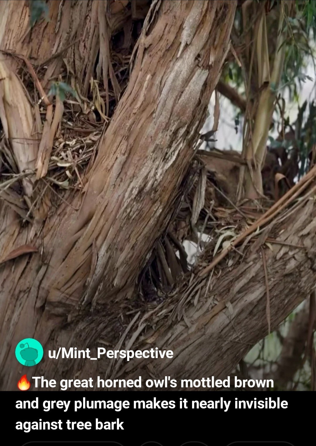 de03e064-b262-4619-93d2-c209add2ab9d