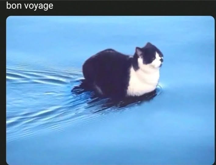 612a8314-adaa-4eda-a424-d0f506efebff