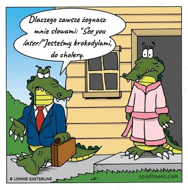 8049c22b-631d-44a4-8c7f-f7be500d3737