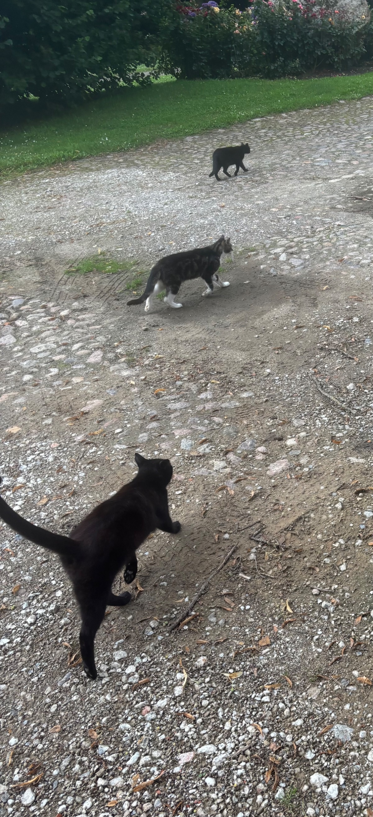 2bb8a6ec-7a92-47f4-899a-b7fa836c2139