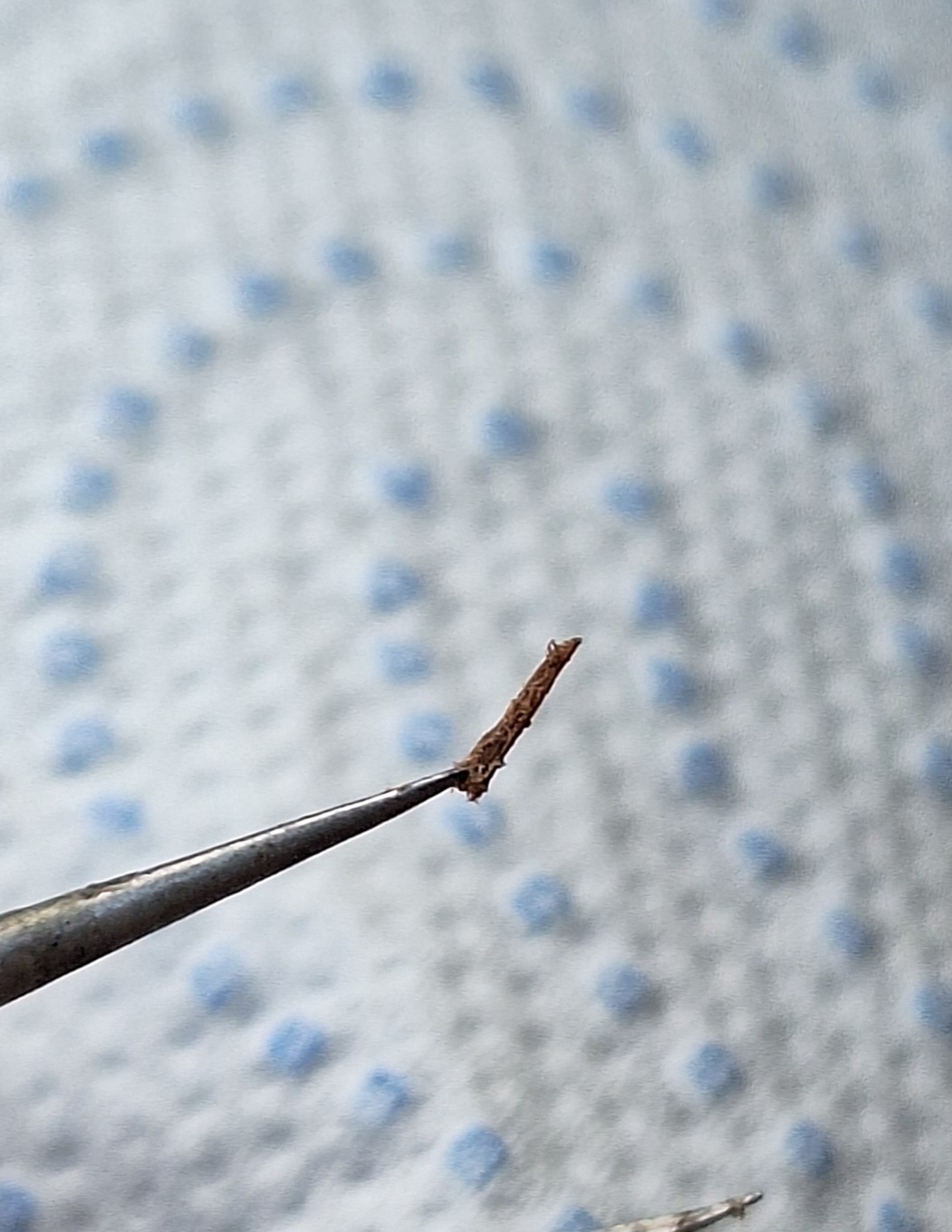 06c63db3-4eac-45aa-931f-a60585cd6b6d