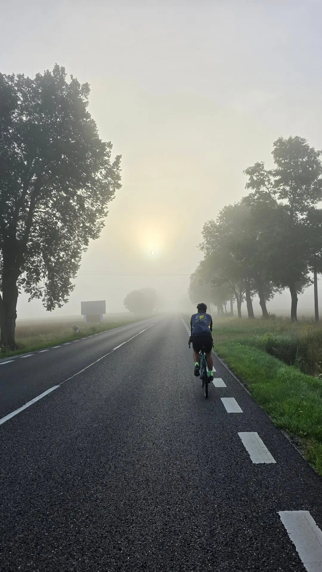 968f4191-e674-46e8-8900-b24e103d7256