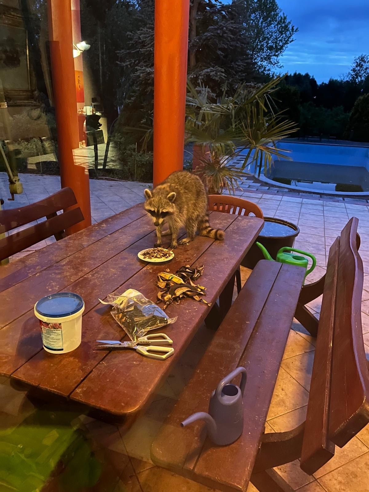 e8eb29de-392a-4d3d-bb41-f0d005e53cc8