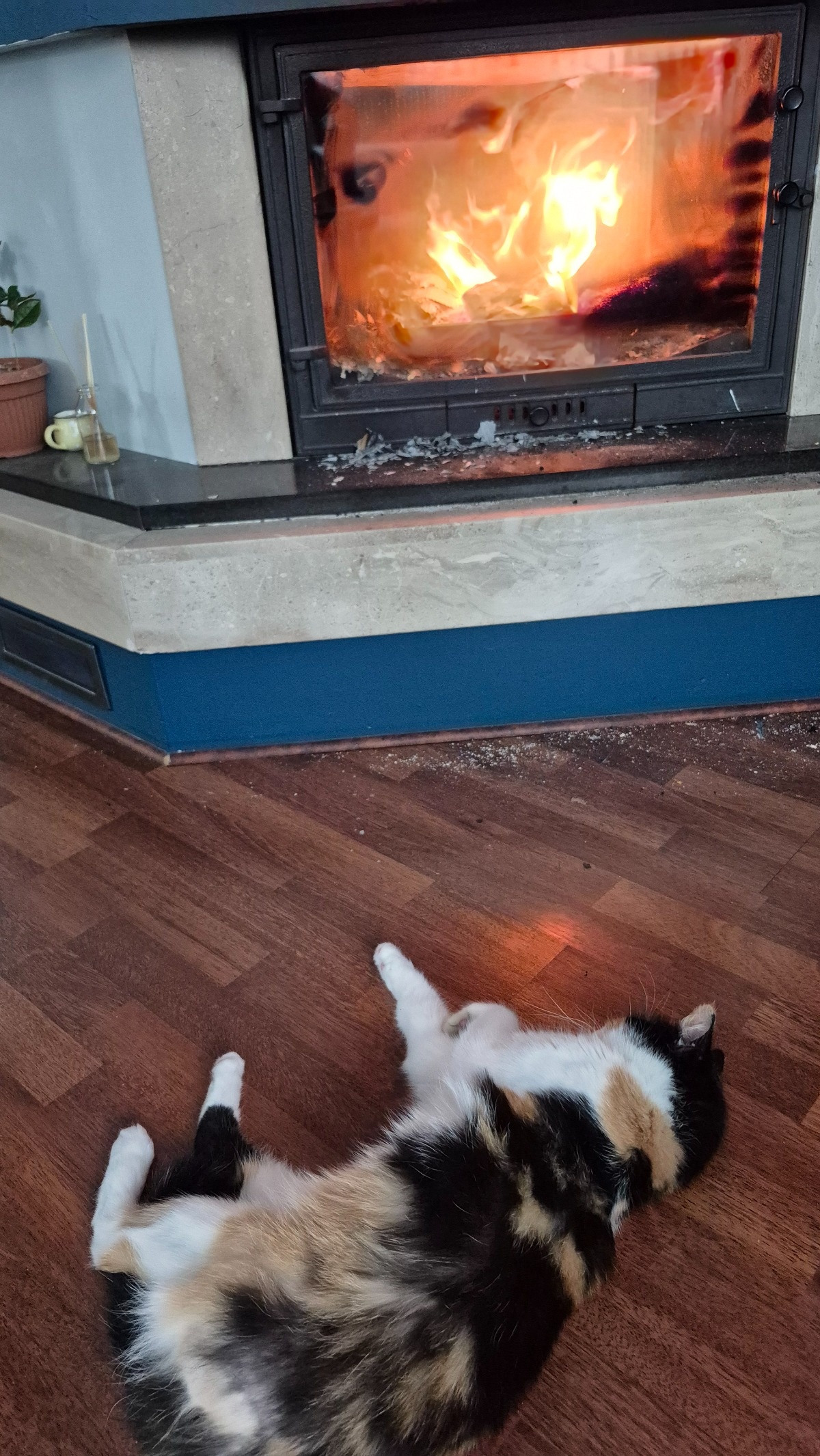 ca4e5f4f-ba56-4461-9497-9811cab5d270