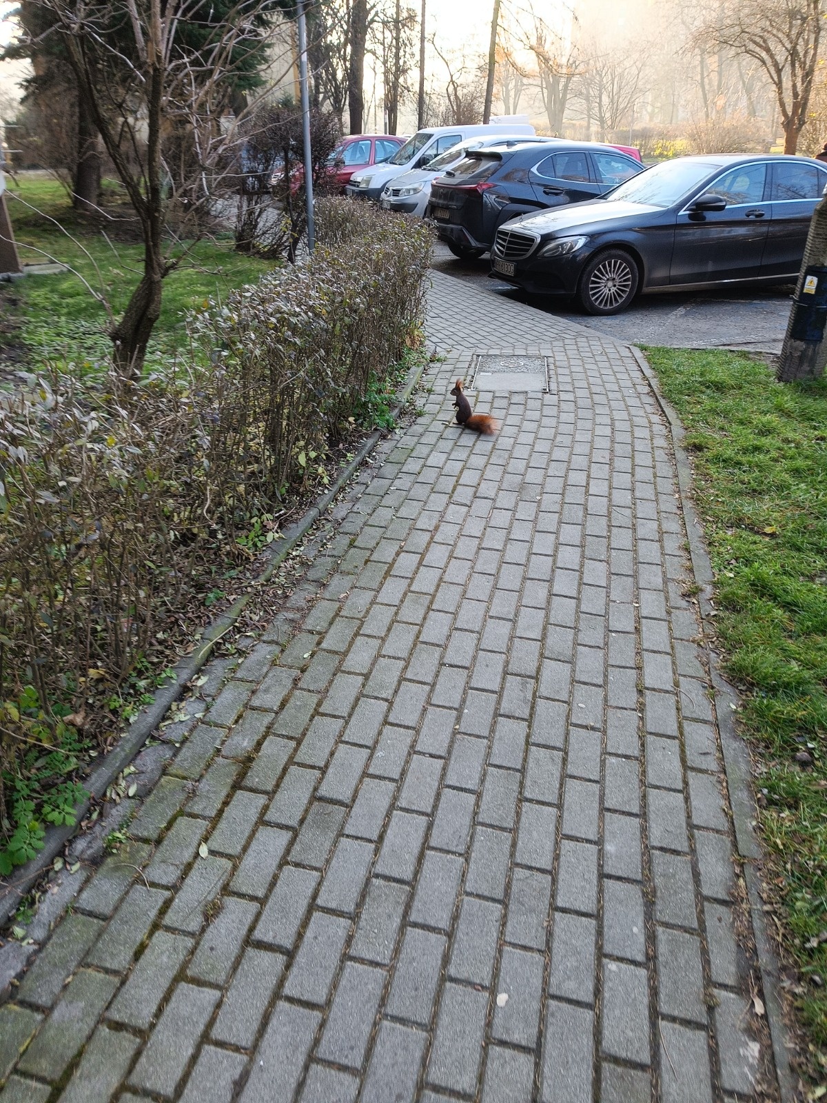 e3afbad3-a038-480d-a007-5e4c00785ec9