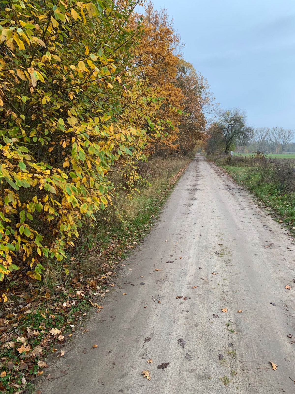 d712f004-b4f8-48e2-9964-c1b7f94d9cf9