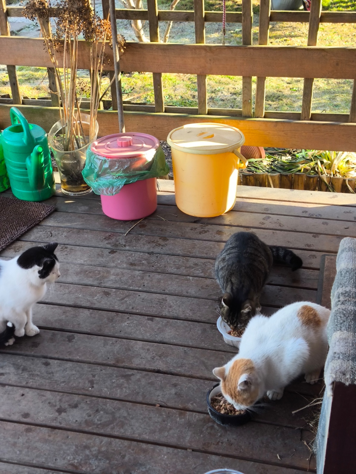 b247c104-9e2d-415e-b7e3-b85f0a2c20fb