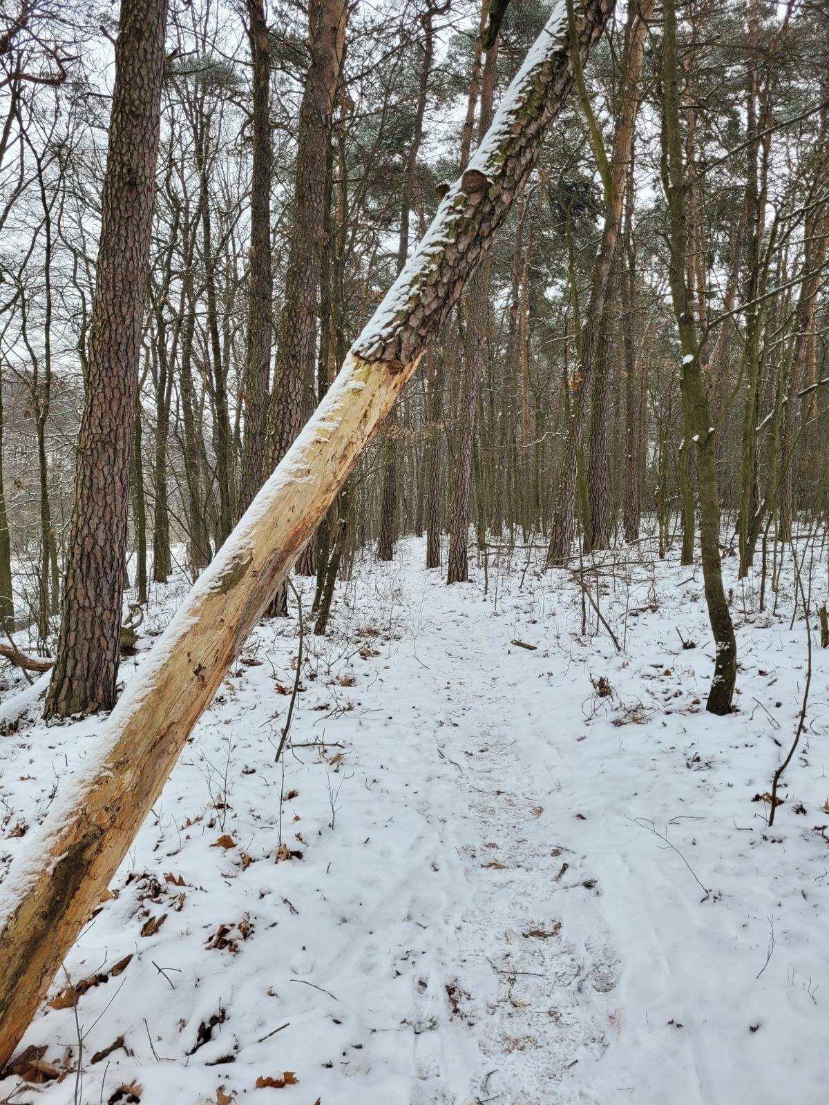 19fda954-f3fc-4684-979f-ac9fc6a740ee