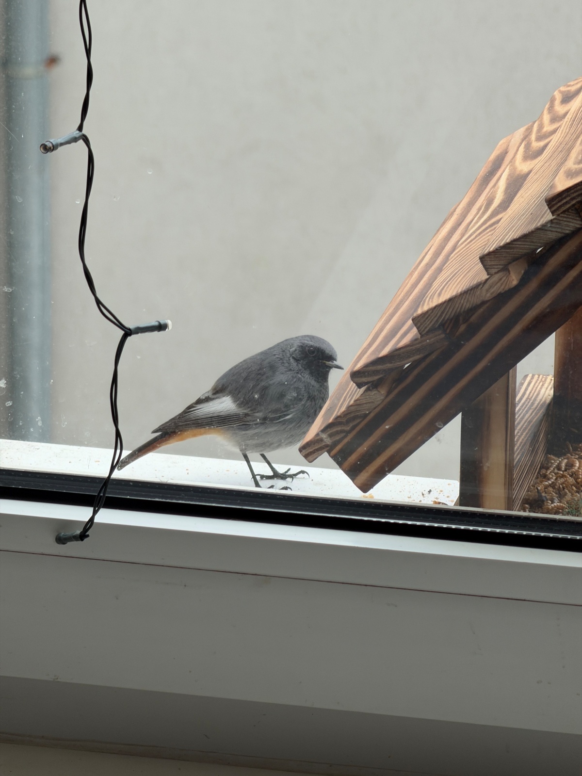 e7bd9e5f-bd87-4b17-92f9-de9dda524287