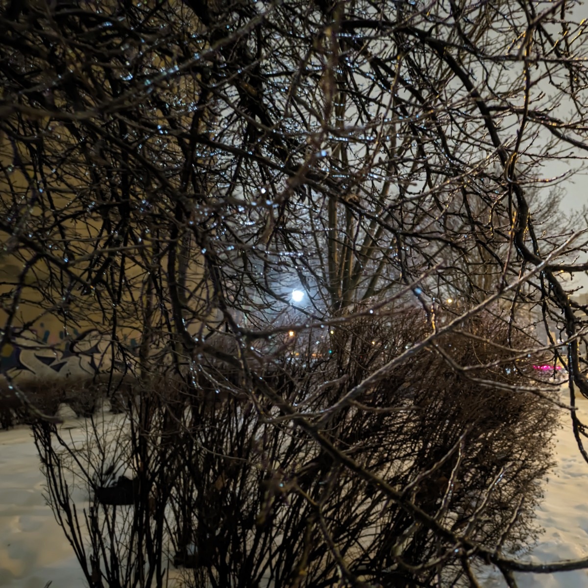 dc96ee29-4f6d-41d1-9007-a639645dacc7