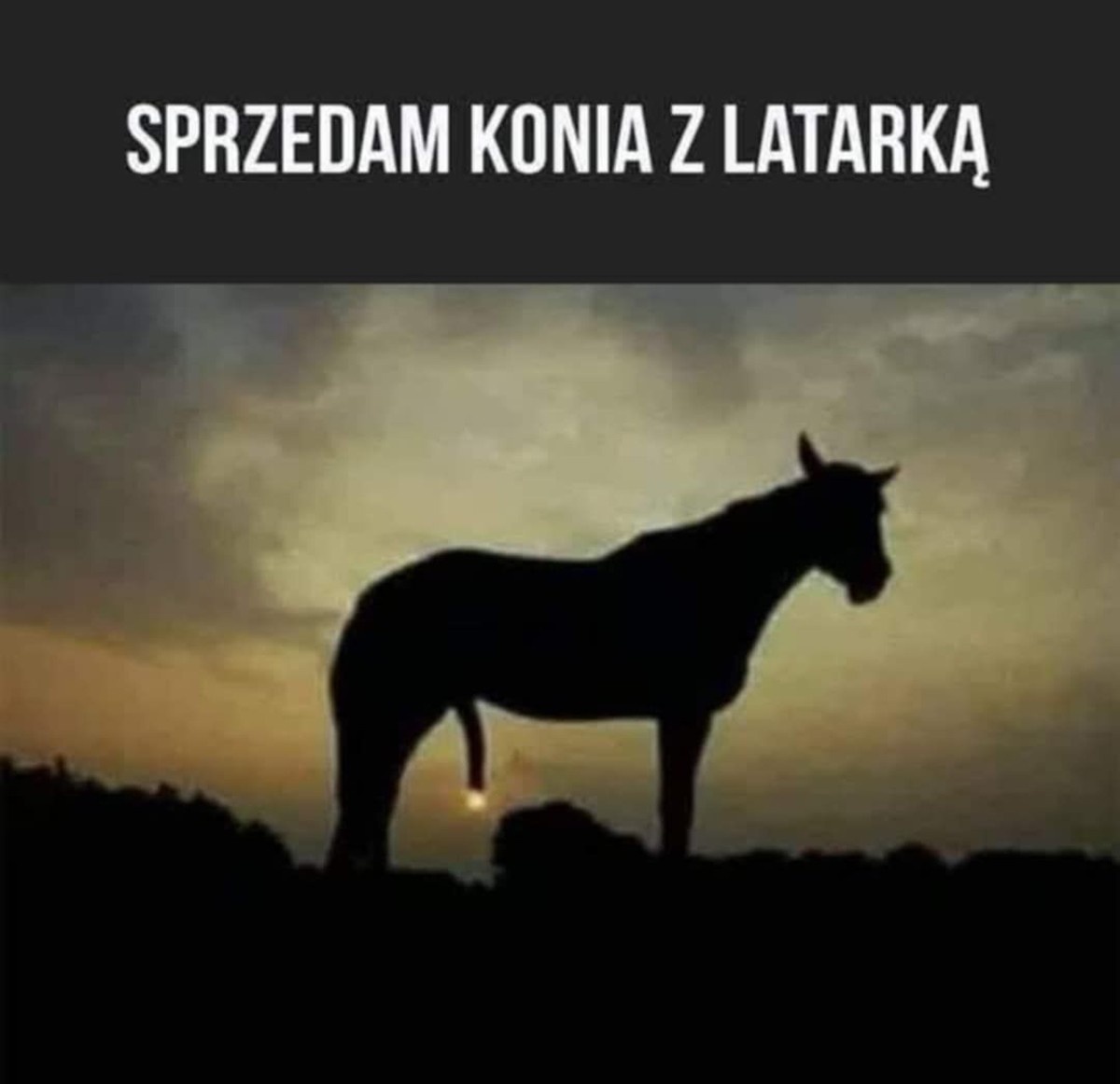 54922006-f7b8-459d-a3fa-bb773f15e051