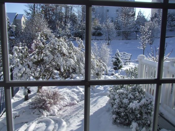 e8767a3d-73c0-4fe7-bb95-f34b2c547f10