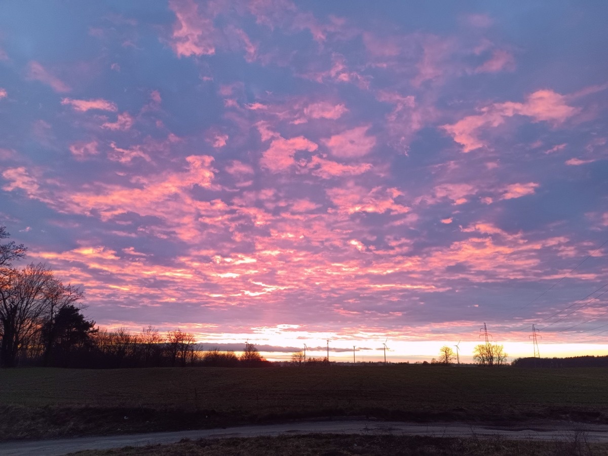 1632b54b-3fb0-4196-a2af-d5a37b0fc24b