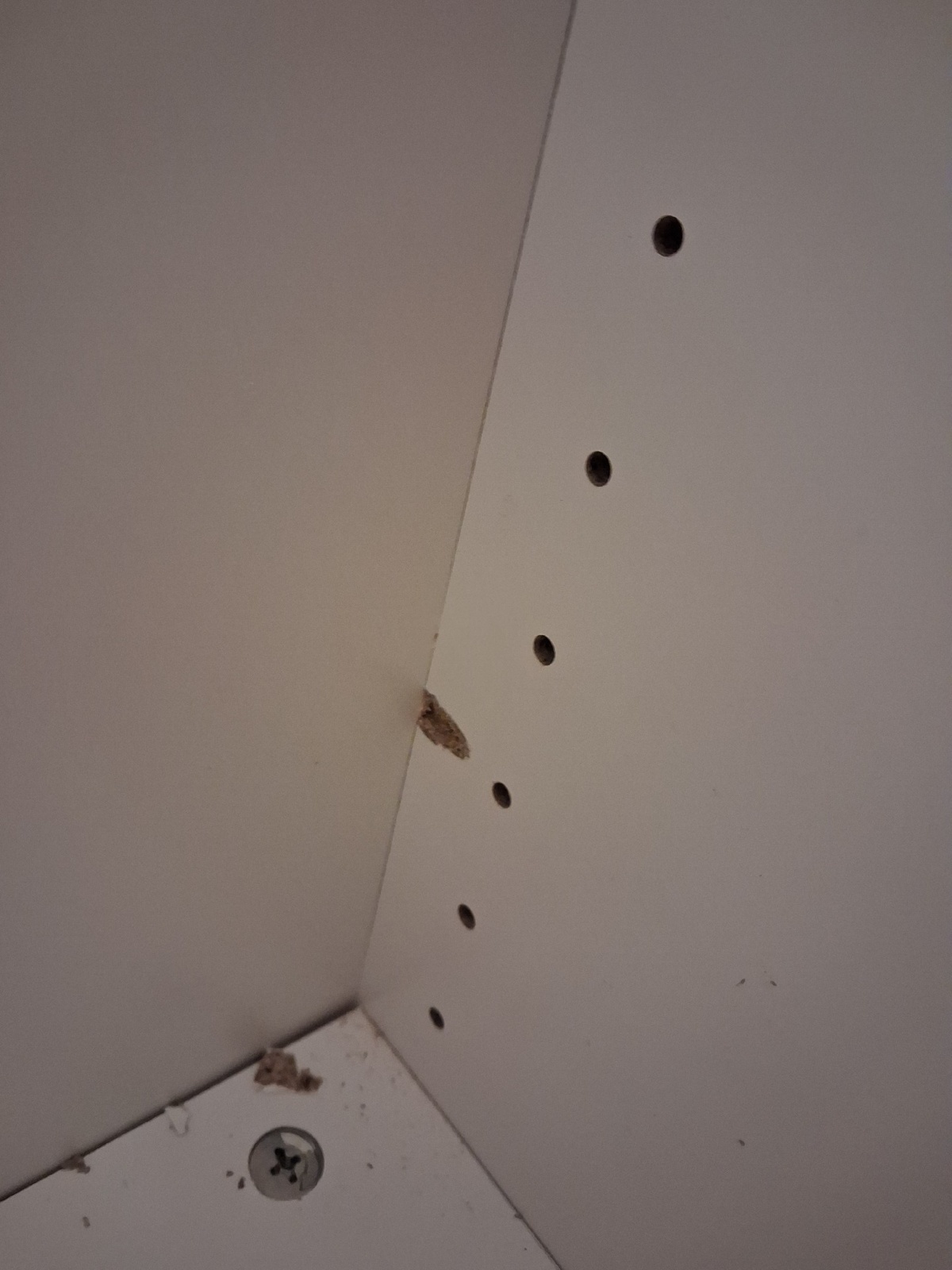 3a0edbc3-9200-4ddd-b741-30c770004cca