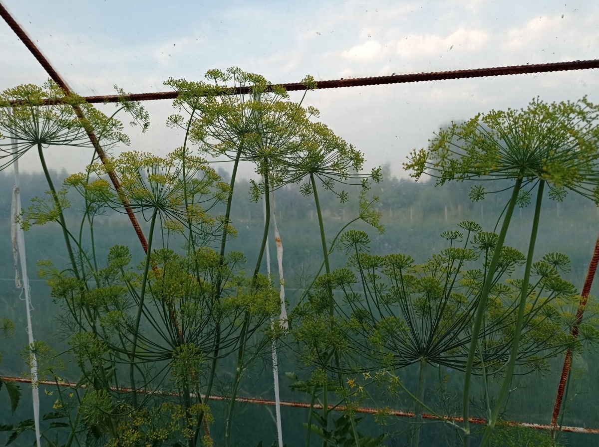 45487334-6615-4a10-8848-e362a5eed26e