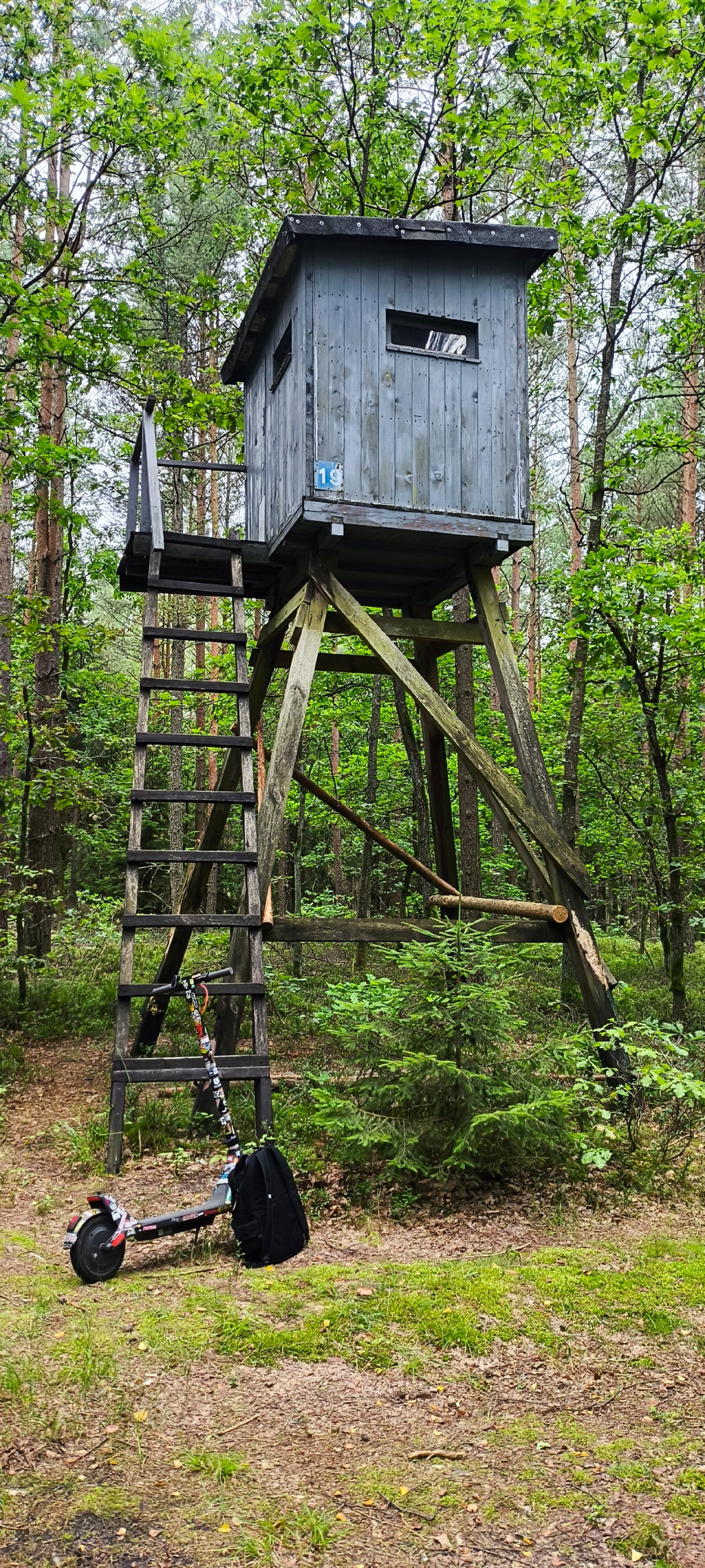 6b2629c7-0d9d-4a91-a30d-1f915677b951