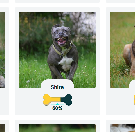 8a0d3282-80ac-4a5b-8db7-072edb50f3ec